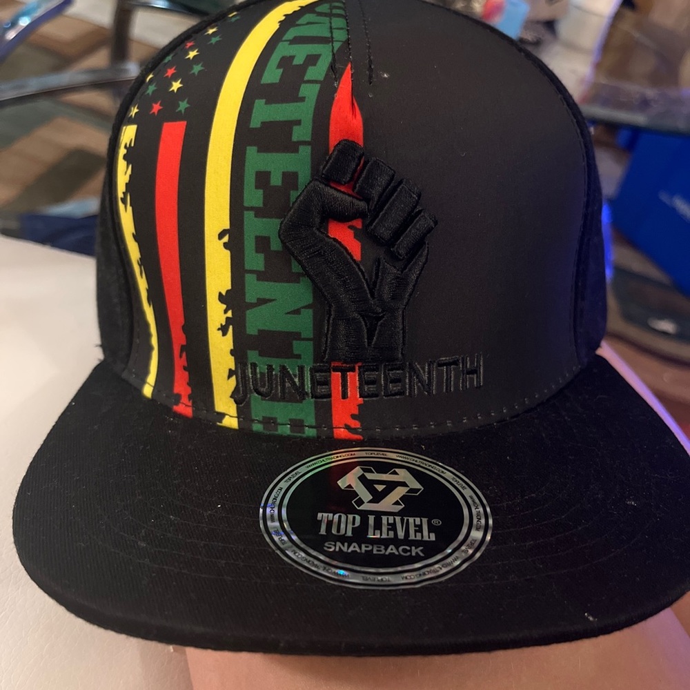 SnapBack hat by top level